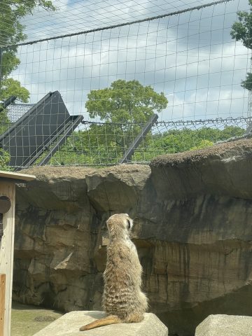 よこはま動物園【ズーラシア】2023年6月