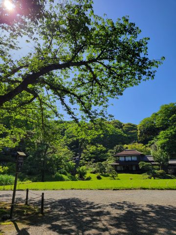 三渓園　2024年7月