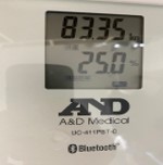 ダイエットの結末　2024年11月