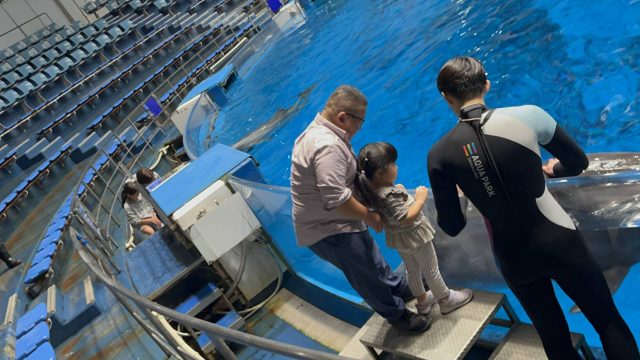 休日のエネルギーチャージ 2025年3月