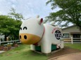 成田ゆめ牧場　2025年6月
