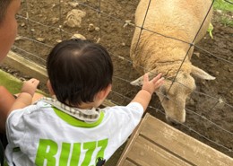 動物園デビュー